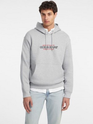 Guess American Tradition Hoodie Grijs | GUESS-SN31487
