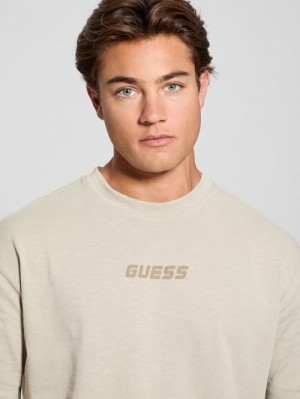 Guess Eco Dalim Tee Beige | GUESS-SN30698