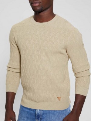 Guess Eco Delroy Stitched Sweater Beige | GUESS-SN31068