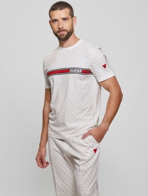 Guess Eco Jamey Logo Tee Wit | GUESS-SN31564