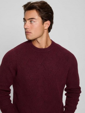 Guess Eco Wesley Lattice Sweater Rood | GUESS-SN31037