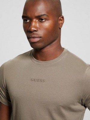 Guess Embroidered Signature Tee Bruin | GUESS-SN30700