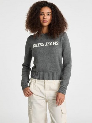 Guess Logo Sweater Grijs | GUESS-SN27753