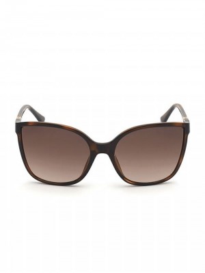 Guess Oversized Cat-Eye Sunglasses Bruin | GUESS-SN30080