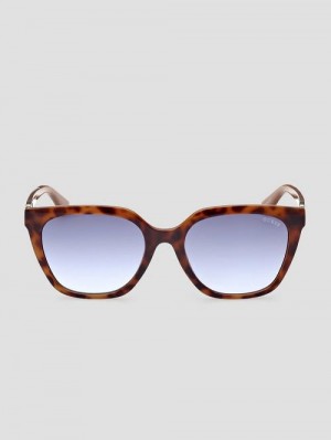 Guess Square Sunglasses Bruin | GUESS-SN30046