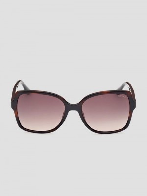 Guess Square Sunglasses Bruin | GUESS-SN30072