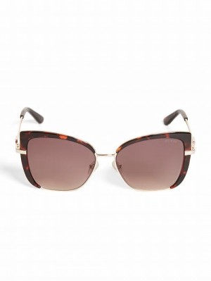 Guess Tinted Cat-Eye Sunglasses Bruin | GUESS-SN30079