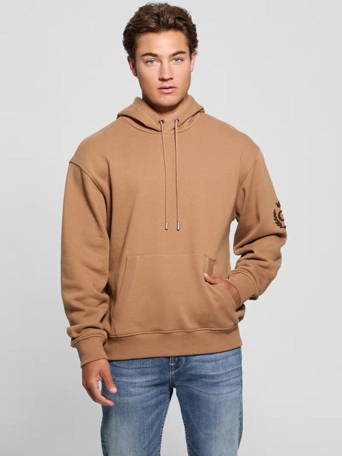 Guess Chenille Logo Hoodie Beige | GUESS-SN31070