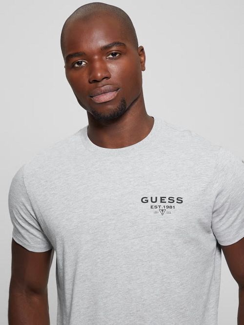 Guess Eco Classic Tee Grijs | GUESS-SN30704