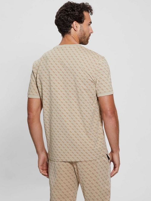Guess Eco Jamey Logo Tee Bruin | GUESS-SN31572
