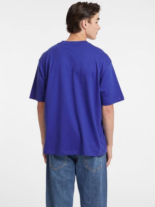 Guess Iconic Tee Blauw | GUESS-SN30658