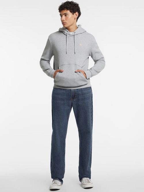 Guess Slim Mini Triangle Hoodie Grijs | GUESS-SN30983