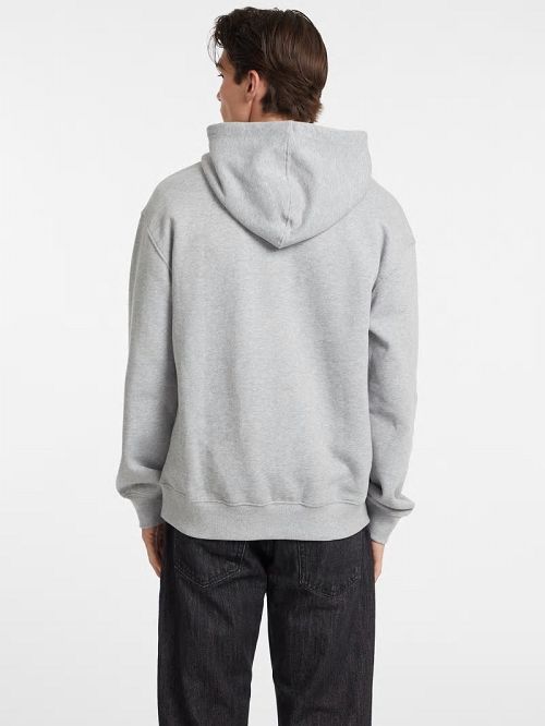 Guess Special Edition Hoodie Grijs | GUESS-SN30960