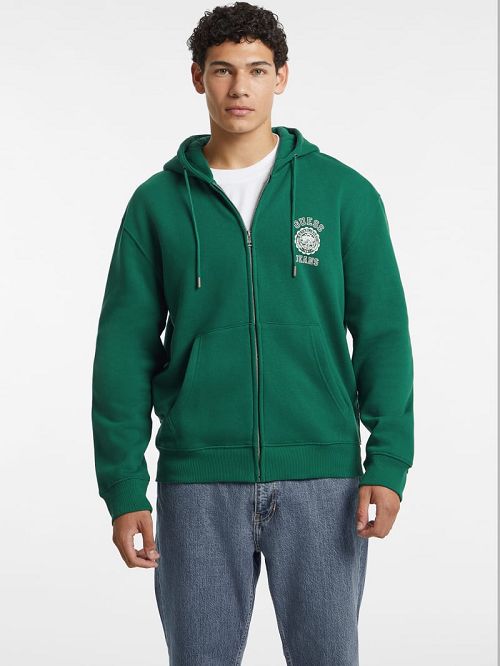 Guess Stamp Logo Zip-Up Hoodie Groen | GUESS-SN30918